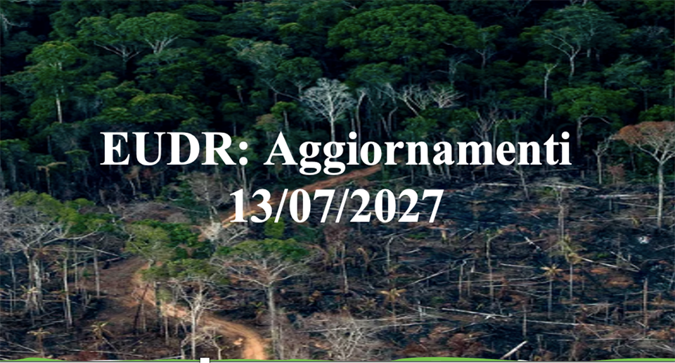 EUDR Aggiornamenti(1)